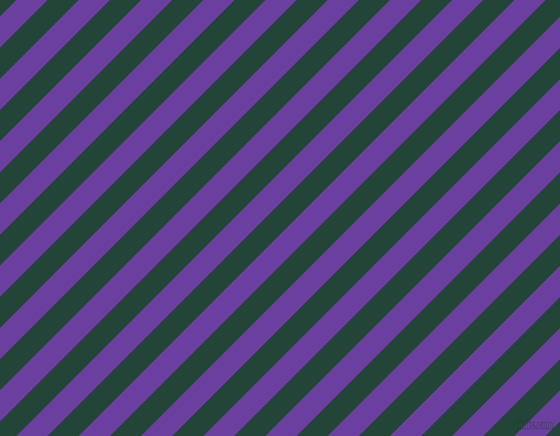 45 degree angle lines stripes, 20 pixel line width, 20 pixel line spacing, Royal Purple and Burnham angled lines and stripes seamless tileable