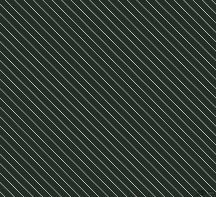 135 degree angle lines stripes, 1 pixel line width, 12 pixel line spacing, Swiss Coffee and Black Bean angled lines and stripes seamless tileable