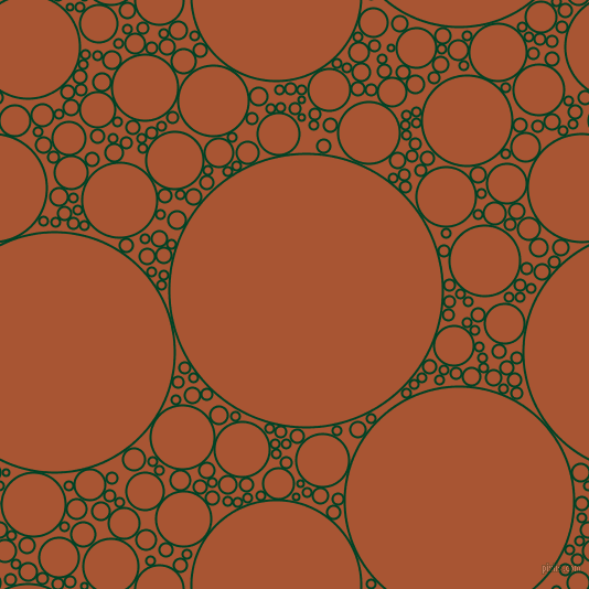 bubbles, circles, sponge, big, medium, small, 2 pixel line width, British Racing Green and Vesuvius circles bubbles sponge soap seamless tileable