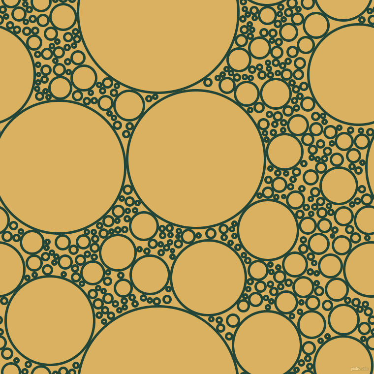 bubbles, circles, sponge, big, medium, small, 5 pixel line width, Burnham and Equator circles bubbles sponge soap seamless tileable