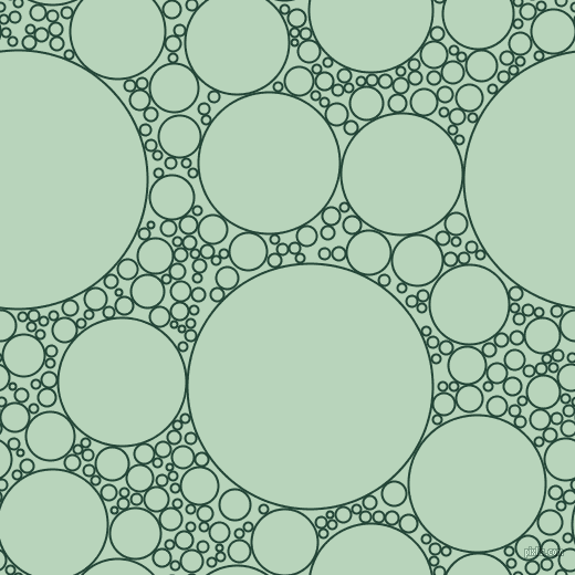 bubbles, circles, sponge, big, medium, small, 2 pixel line width, Burnham and Surf circles bubbles sponge soap seamless tileable