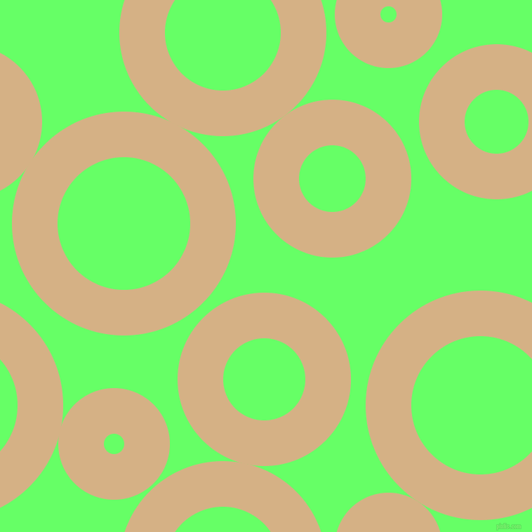 bubbles, circles, sponge, big, medium, small, 65 pixel line width, Calico and Screamin