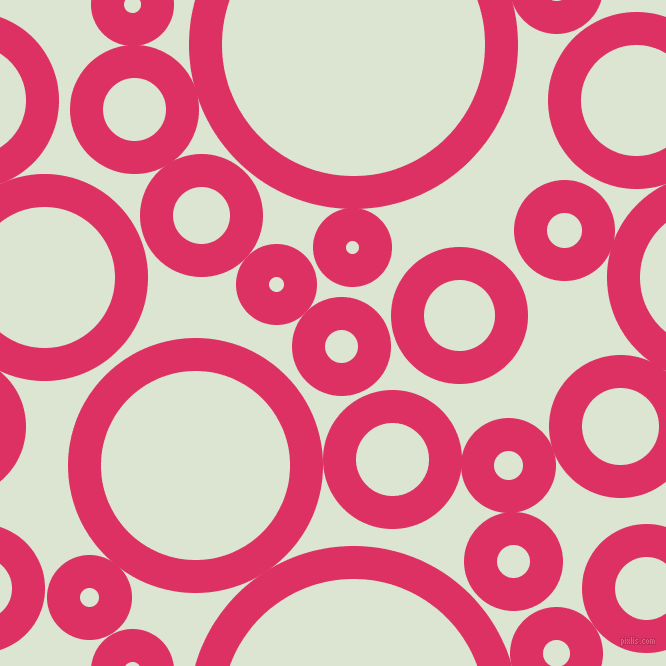 bubbles, circles, sponge, big, medium, small, 33 pixel line width, Cerise and Frostee circles bubbles sponge soap seamless tileable