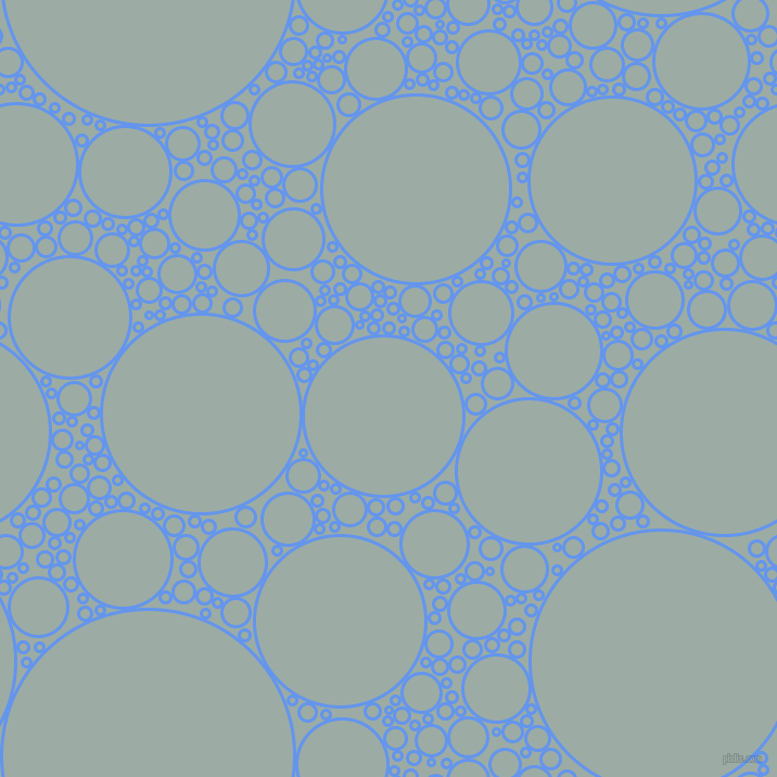 bubbles, circles, sponge, big, medium, small, 3 pixel line width, Cornflower Blue and Tower Grey circles bubbles sponge soap seamless tileable