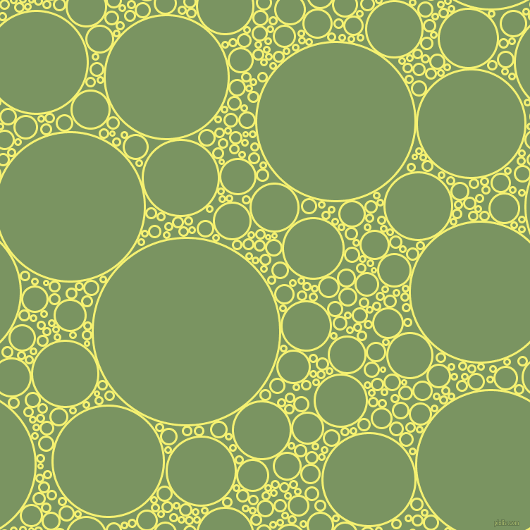 bubbles, circles, sponge, big, medium, small, 3 pixel line width, Dolly and Highland circles bubbles sponge soap seamless tileable