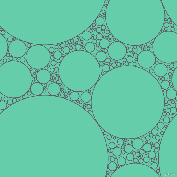bubbles, circles, sponge, big, medium, small, 2 pixel line width, Fedora and Medium Aquamarine circles bubbles sponge soap seamless tileable