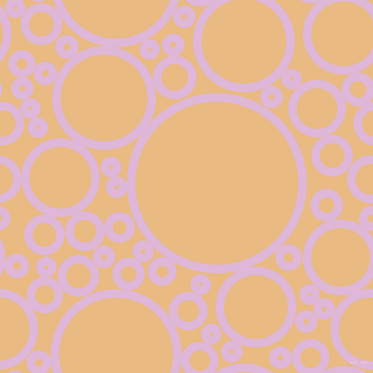 bubbles, circles, sponge, big, medium, small, 17 pixel line widthFrench Lilac and Corvette circles bubbles sponge soap seamless tileable