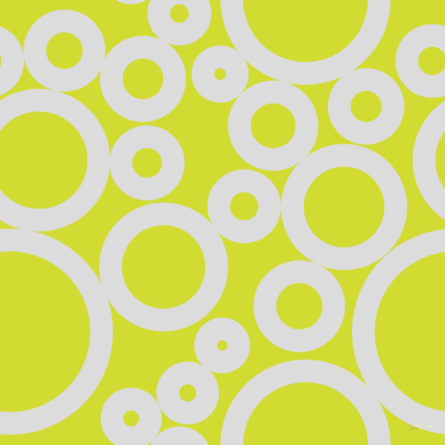 bubbles, circles, sponge, big, medium, small, 33 pixel line width, Gainsboro and Bitter Lemon circles bubbles sponge soap seamless tileable