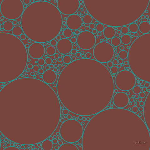 bubbles, circles, sponge, big, medium, small, 2 pixel line width, Java and Bole circles bubbles sponge soap seamless tileable