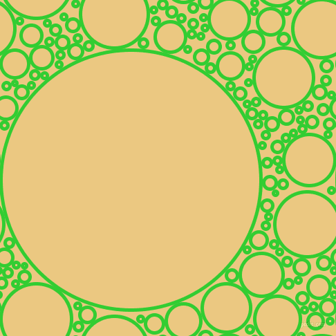 bubbles, circles, sponge, big, medium, small, 5 pixel line width, Lime Green and Marzipan circles bubbles sponge soap seamless tileable