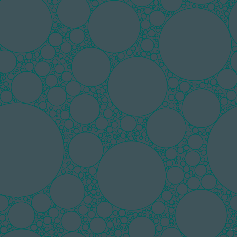 bubbles, circles, sponge, big, medium, small, 2 pixel line width, Mosque and Casal circles bubbles sponge soap seamless tileable