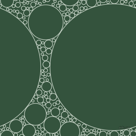 bubbles, circles, sponge, big, medium, small, 2 pixel line width, Paris White and Goblin circles bubbles sponge soap seamless tileable