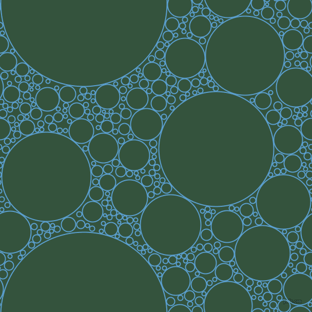bubbles, circles, sponge, big, medium, small, 2 pixel line width, Picton Blue and Goblin circles bubbles sponge soap seamless tileable
