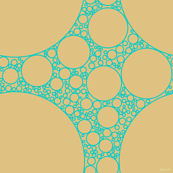 bubbles, circles, sponge, big, medium, small, 3 pixel line width, Robin