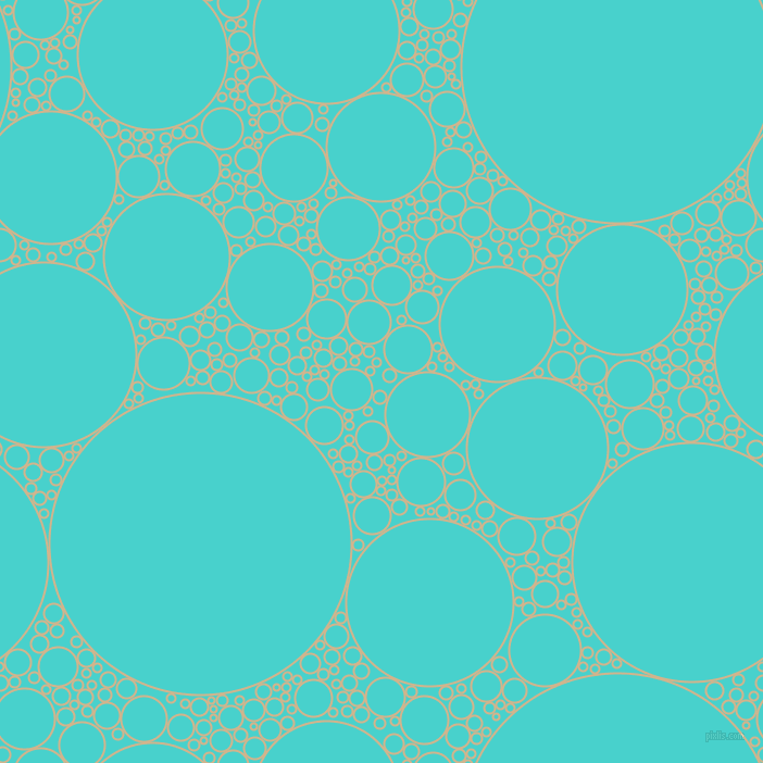 bubbles, circles, sponge, big, medium, small, 2 pixel line width, Tan and Medium Turquoise circles bubbles sponge soap seamless tileable