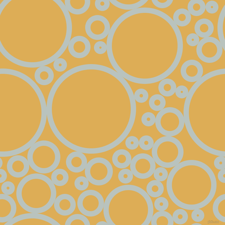 bubbles, circles, sponge, big, medium, small, 17 pixel line width, Tiara and Rob Roy circles bubbles sponge soap seamless tileable