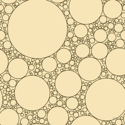 bubbles, circles, sponge, big, medium, small, 2 pixel line width, West Coast and Barley White circles bubbles sponge soap seamless tileable