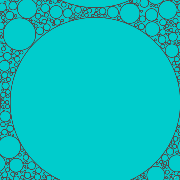 bubbles, circles, sponge, big, medium, small, 3 pixel line width, Woody Brown and Robin