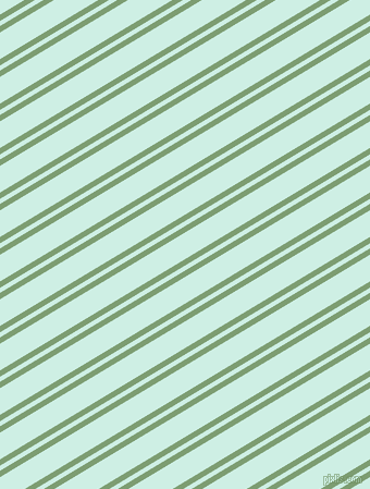 31 degree angles dual stripes lines, 5 pixel lines width, 4 and 21 pixels line spacing, Amulet and Humming Bird dual two line striped seamless tileable