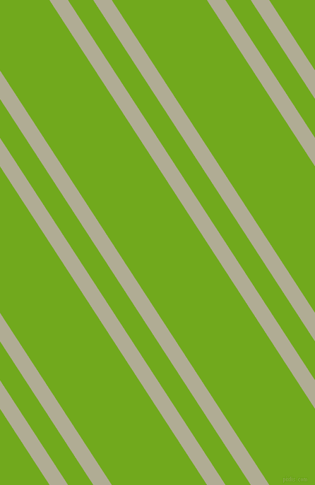 123 degree angles dual striped lines, 22 pixel lines width, 30 and 113 pixels line spacing, Eagle and Christi dual two line striped seamless tileable