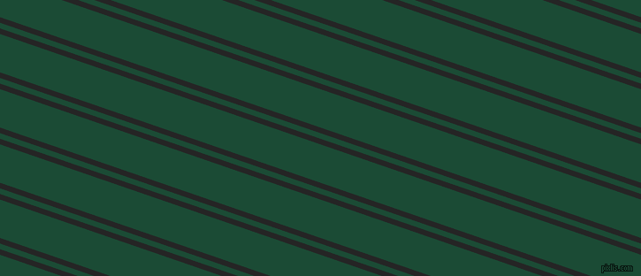161 degree angles dual stripe line, 6 pixel line width, 6 and 41 pixels line spacing, Nero and County Green dual two line striped seamless tileable