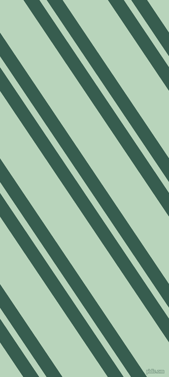124 degree angle dual stripes line, 26 pixel line width, 12 and 74 pixel line spacingSpectra and Surf dual two line striped seamless tileable