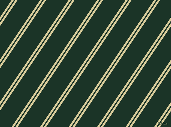 56 degree angles dual striped lines, 6 pixel lines width, 4 and 60 pixels line spacingTahuna Sands and Cardin Green dual two line striped seamless tileable