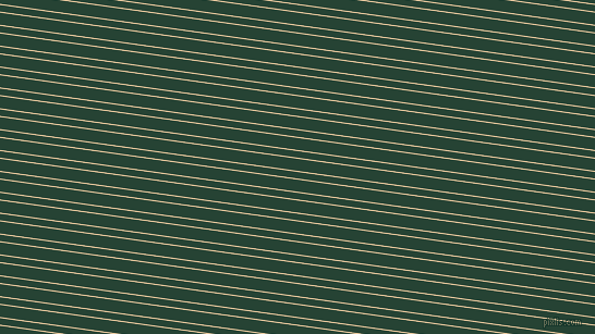 172 degree angles dual stripe lines, 1 pixel lines width, 6 and 11 pixels line spacing, Tequila and Everglade dual two line striped seamless tileable