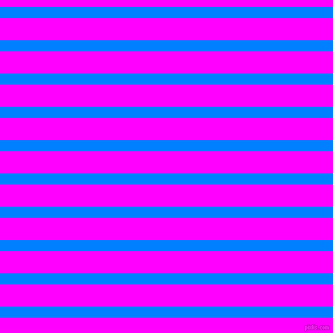 horizontal lines stripes, 16 pixel line width, 32 pixel line spacing, Dodger Blue and Magenta horizontal lines and stripes seamless tileable