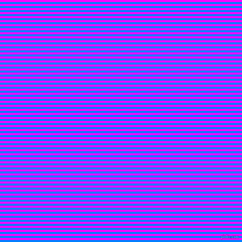 horizontal lines stripes, 4 pixel line width, 4 pixel line spacing, Dodger Blue and Magenta horizontal lines and stripes seamless tileable