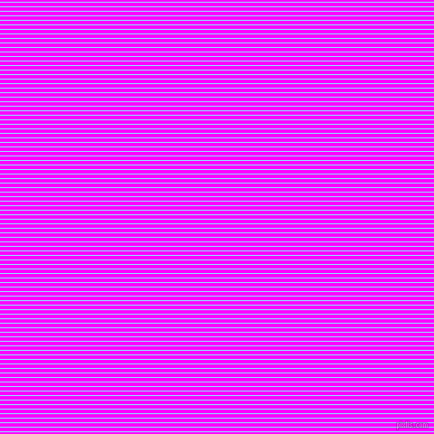 horizontal lines stripes, 1 pixel line width, 4 pixel line spacing, Electric Blue and Magenta horizontal lines and stripes seamless tileable