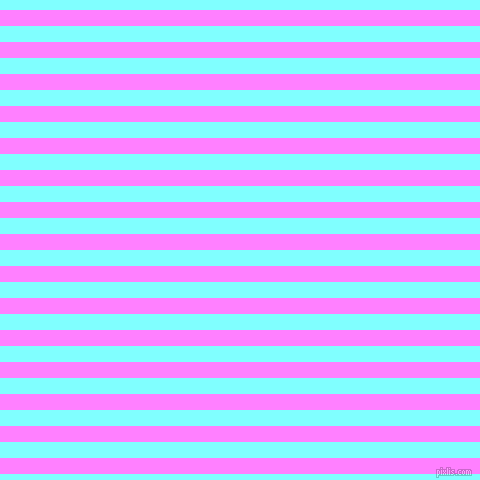 horizontal lines stripes, 16 pixel line width, 16 pixel line spacing, Fuchsia Pink and Electric Blue horizontal lines and stripes seamless tileable
