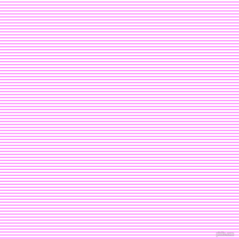 horizontal lines stripes, 2 pixel line width, 4 pixel line spacing, Fuchsia Pink and White horizontal lines and stripes seamless tileable