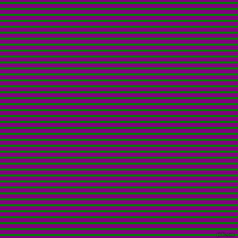 horizontal lines stripes, 4 pixel line width, 8 pixel line spacing, Green and Purple horizontal lines and stripes seamless tileable
