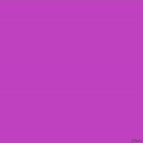 horizontal lines stripes, 2 pixel line width, 2 pixel line spacing, Magenta and Grey horizontal lines and stripes seamless tileable