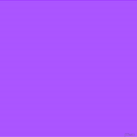 horizontal lines stripes, 1 pixel line width, 2 pixel line spacing, White and Electric Indigo horizontal lines and stripes seamless tileable