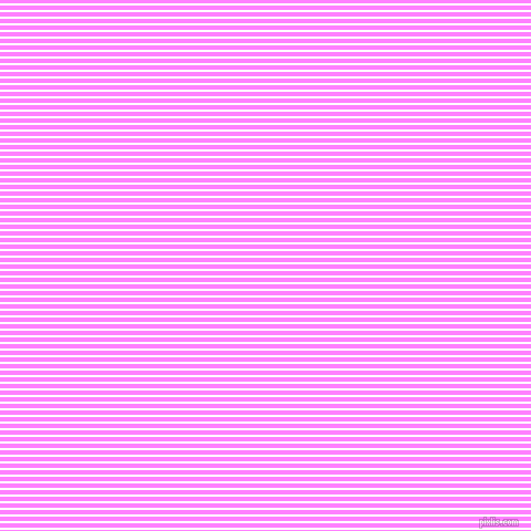 horizontal lines stripes, 2 pixel line width, 4 pixel line spacing, White and Fuchsia Pink horizontal lines and stripes seamless tileable