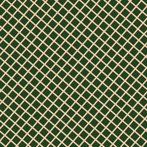 49/139 degree angle diagonal checkered chequered lines, 6 pixel line width, 28 pixel square size, Apricot and Myrtle plaid checkered seamless tileable