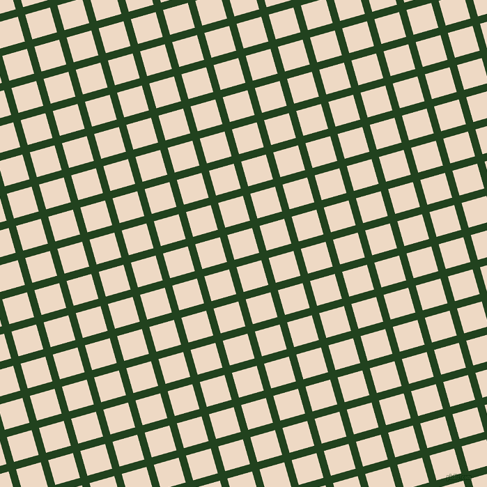 16/106 degree angle diagonal checkered chequered lines, 11 pixel line width, 37 pixel square sizeMyrtle and Almond plaid checkered seamless tileable