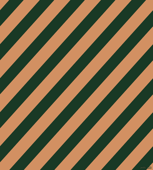 48 degree angle lines stripes, 35 pixel line width, 39 pixel line spacing, Deep Fir and Whiskey stripes and lines seamless tileable