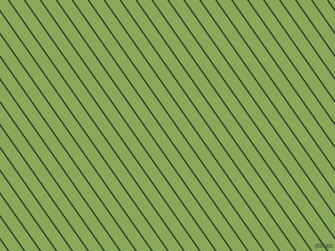 125 degree angle lines stripes, 3 pixel line width, 24 pixel line spacing, angled lines and stripes seamless tileable