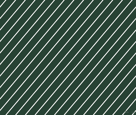 50 degree angle lines stripes, 3 pixel line width, 22 pixel line spacing, angled lines and stripes seamless tileable