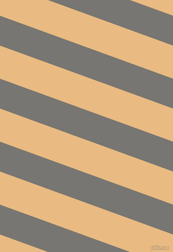 160 degree angle lines stripes, 55 pixel line width, 61 pixel line spacing, Dove Grey and Corvette angled lines and stripes seamless tileable
