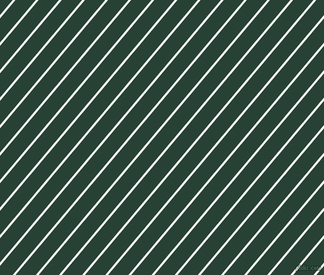 50 degree angle lines stripes, 3 pixel line width, 22 pixel line spacing, Snow and English Holly angled lines and stripes seamless tileable