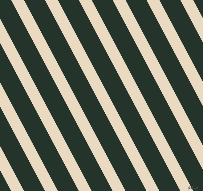 118 degree angle lines stripes, 37 pixel line width, 60 pixel line spacing, Solitaire and Holly angled lines and stripes seamless tileable