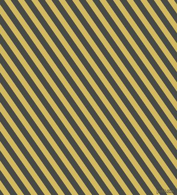 125 degree angle lines stripes, 11 pixel line width, 12 pixel line spacing, Tacha and Armadillo angled lines and stripes seamless tileable