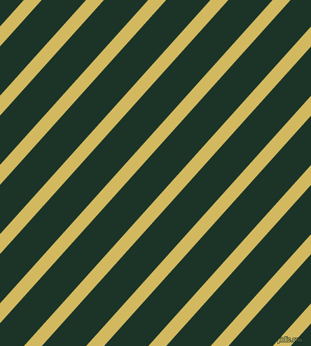 48 degree angle lines stripes, 19 pixel line width, 47 pixel line spacing, Tacha and Cardin Green angled lines and stripes seamless tileable