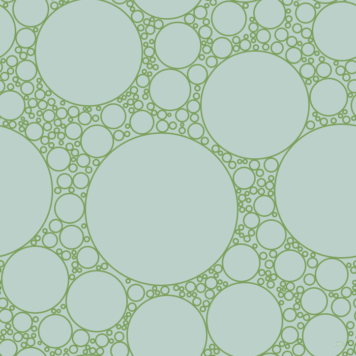 bubbles, circles, sponge, big, medium, small, 3 pixel line width, Asparagus and Jet Stream circles bubbles sponge soap seamless tileable