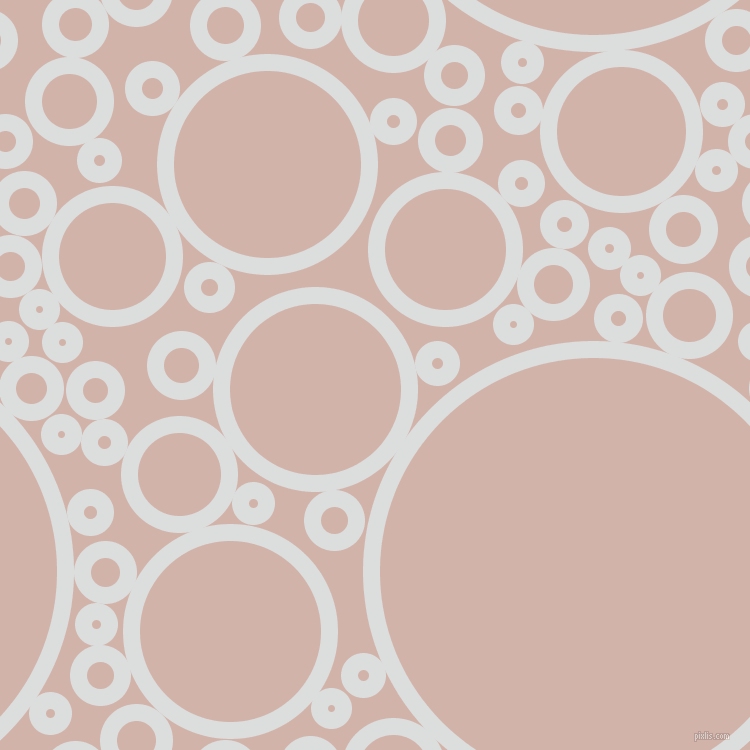 bubbles, circles, sponge, big, medium, small, 17 pixel line width, Athens Grey and Clam Shell circles bubbles sponge soap seamless tileable