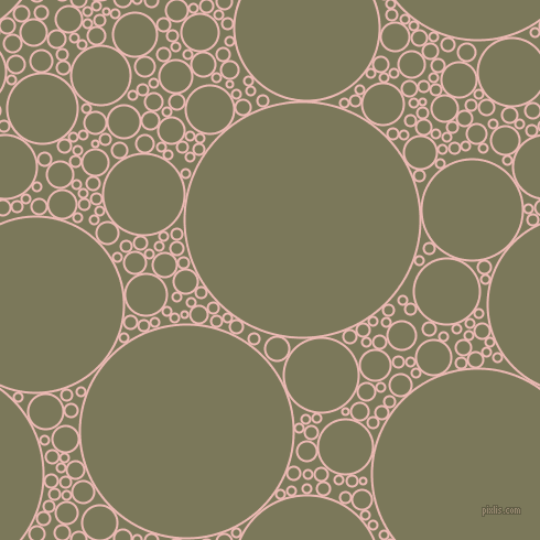 bubbles, circles, sponge, big, medium, small, 2 pixel line width, Beauty Bush and Kokoda circles bubbles sponge soap seamless tileable